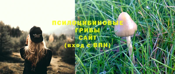 амф Армянск