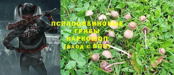 стаф Балабаново