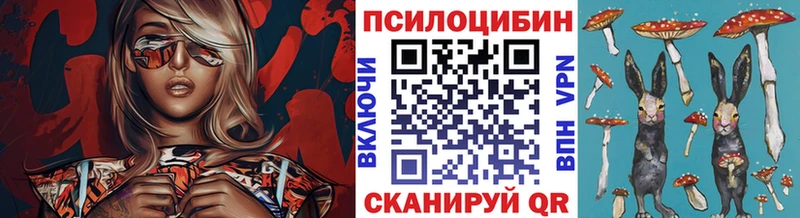 Купить где  Новый Оскол  Псилоцибиновые грибы мицелий 